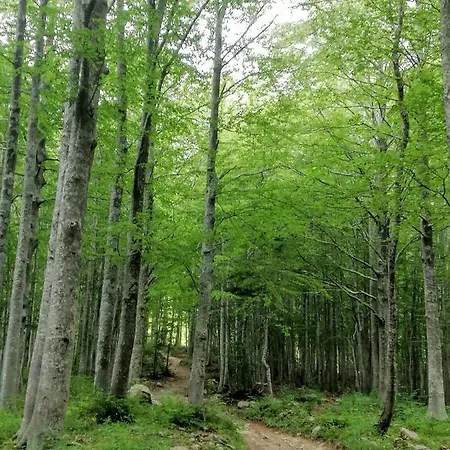 Val Di Luce Apartman Abetone